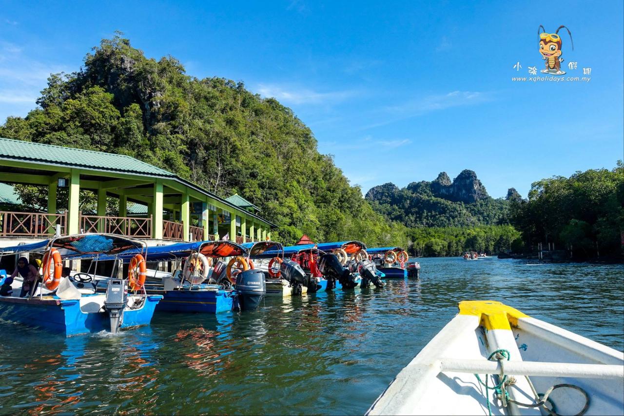 Jelajahi Pesona Mangrove Tour Langkawi yang Memikat